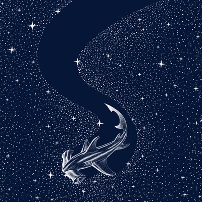 Tiburón martillo estrellado de Alirıza ÇAKIR