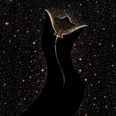 Manta estrellada de Alirıza ÇAKIR