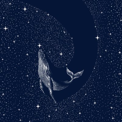 La ballena de la noche estrellada de Alirıza ÇAKIR