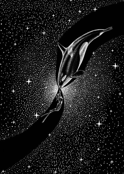 Abrazo de ballena estrellada de Alirıza ÇAKIR