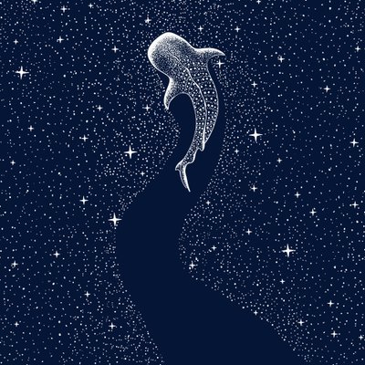 Tiburón ballena estrellado de Alirıza ÇAKIR