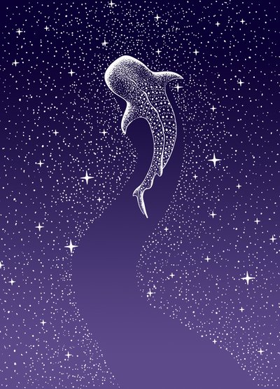 Nado con tiburones ballena en la Galaxia de Alirıza ÇAKIR