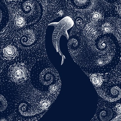 Tiburón ballena en el océano estrellado de Alirıza ÇAKIR