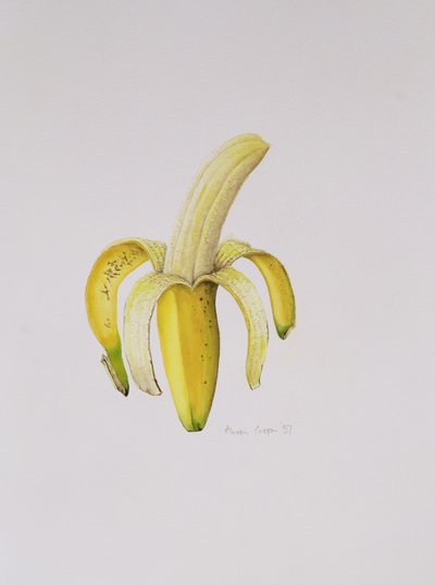 Un Plátano Medio Pelado, 1997 de Alison Cooper