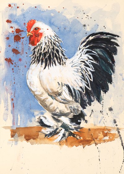 Gallo Brahma Bantam, 2020 (acuarela) de Alison Cooper