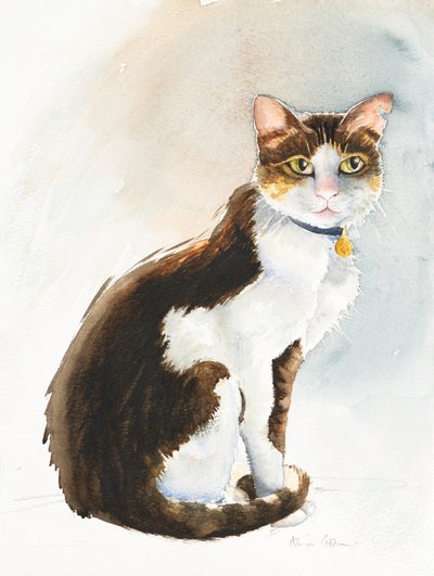 Dave el gato saudí, 2019 (acuarela) de Alison Cooper