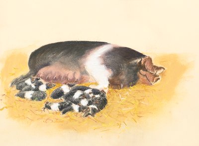 Cerda y lechones, 2019 (pastel) de Alison Cooper