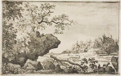 Rama de un árbol de Allaert van Everdingen