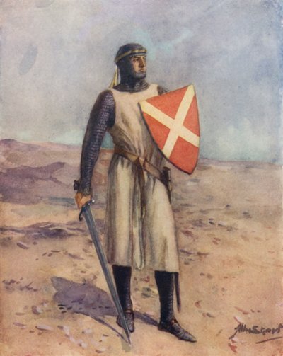 Caballero de San Juan (litografía en color) de Allan (after) Stewart