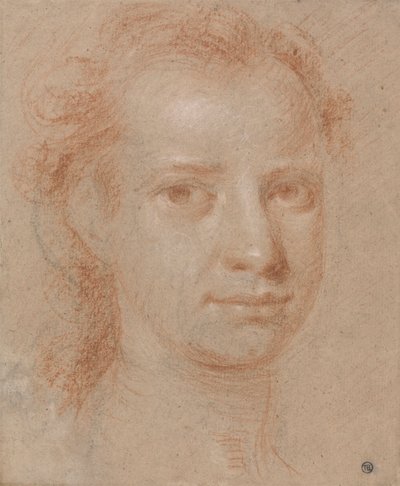 Cabeza de mujer u hombre joven de Allan Ramsay