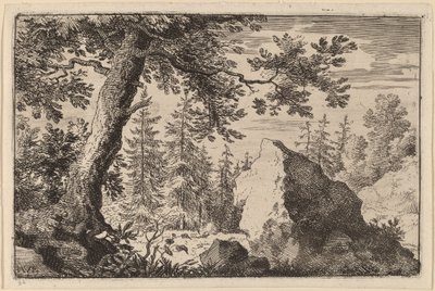 Roca en el bosque de Allart van Everdingen
