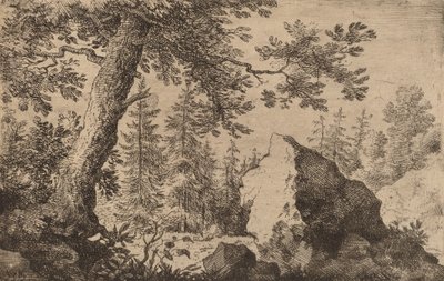 Roca en el bosque, probablemente c. 1645-1656 de Allart van Everdingen