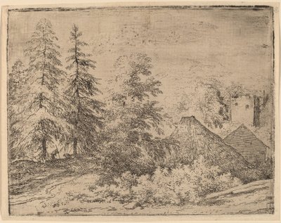 Hombre entre dos abetos, probablemente c. 1645-1656 de Allart van Everdingen