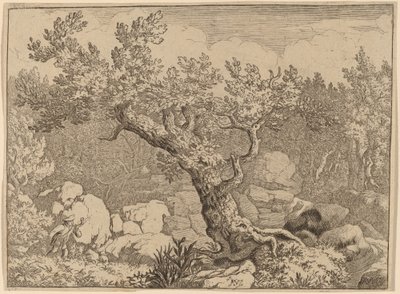 Deportista cerca de un árbol grande, probablemente c. 1645-1656 de Allart van Everdingen