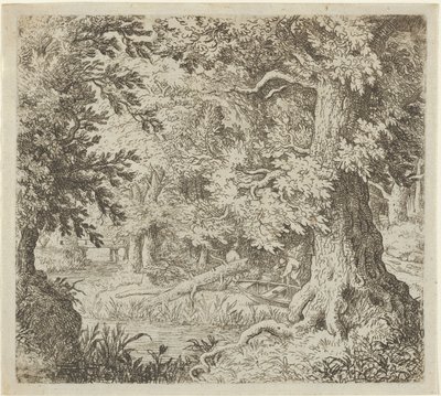 El arroyo en el bosque, siglo XVII de Allart van Everdingen