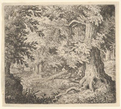 El arroyo en el bosque de Allart van Everdingen