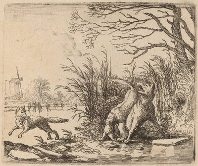 Los lobos en el hielo de Allart van Everdingen