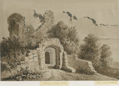 Castillo de Dudley - La puerta: dibujo a lavado en rojo-sépia, 8 de junio de 1843 de Allen Edward Everitt