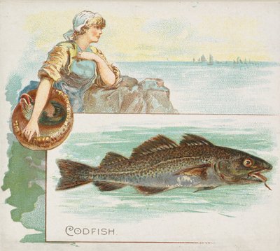Bacalao, de la serie Peces de aguas americanas N39 para Allen & Ginter Cigarettes, 1889 de Allen and Ginter