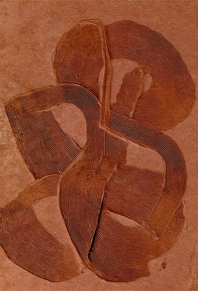 Curvas con textura terrosa de Alma