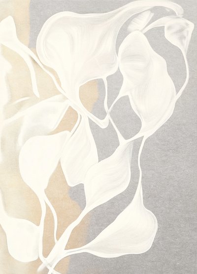 Formas orgánicas fluidas de Alma