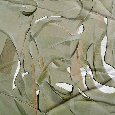 Flujo orgánico suave de Alma