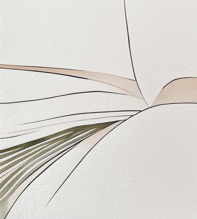 Formas orgánicas fluidas de Alma