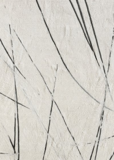 Textura de líneas orgánicas de Alma