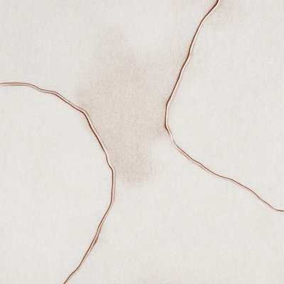 Formas suaves y fluidas de Alma