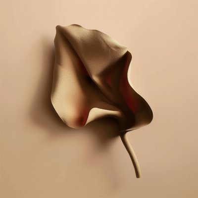 Forma orgánica suave de Alma