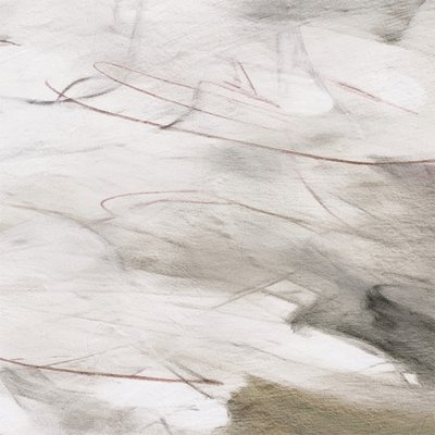 Abstracto en tonos grises sutiles de Alma