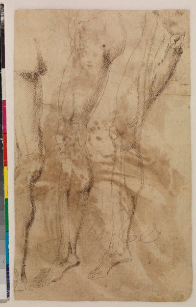 Tres estudios de una pierna masculina (verso) c.1537 (pluma y tinta marrón sobre papel verjurado) [véase 5948317]. de Alonso (workshop of) Berruguete