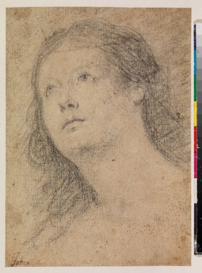 Cabeza de mujer mirando hacia arriba (recto) de Alonso Miguel de Tovar