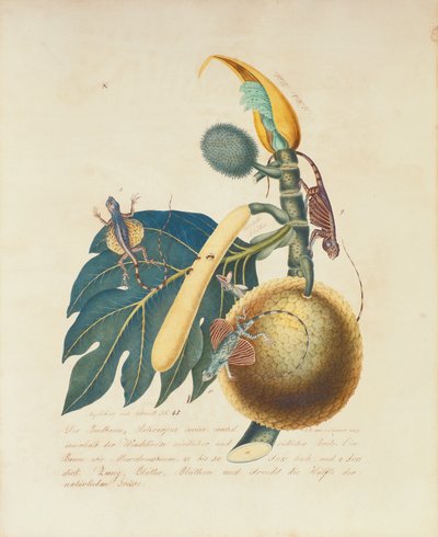 Der Broadbaum..., 1847 de Aloys Zötl