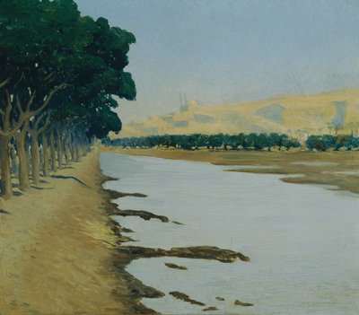 Vista de la Ciudadela de El Cairo de Alphons Leopold Mielich