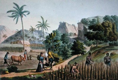 Isla de Guam: Trabajos agrícolas, de 