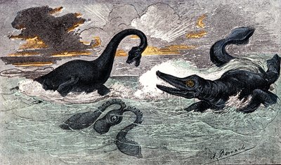 Periodo Lias (Jurásico Inferior): Plesiosaurio e Ictiosaurio, creación natural y seres vivos (por Jules Rengade) Dibujo de A. Demarle. 1885 de Alphonse Demarle