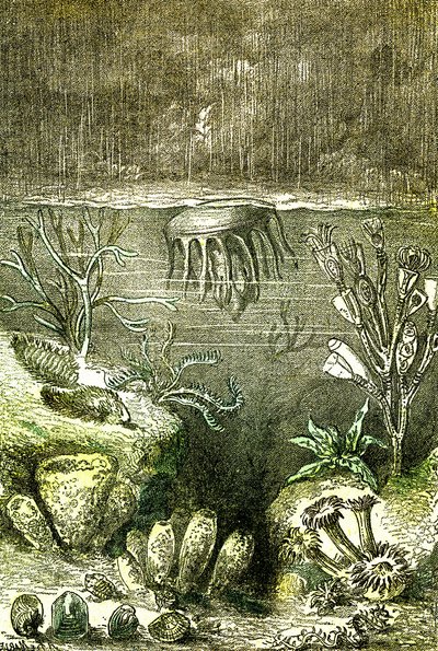 Prehistoire-Terre et Mers: El comienzo del período Silúrico (J. Rengade. Dibujo de Demarle. 1885 de Alphonse Demarle