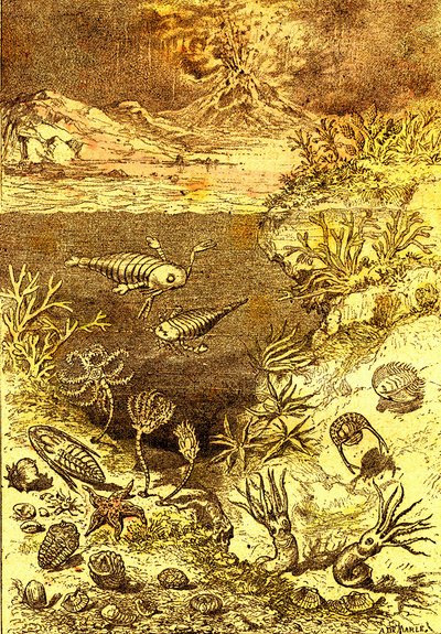 Prehistoria-Fin del período Silúrico: Creación natural y seres vivos (J. Rengade) Dibujo A. Demarle. 1885 de Alphonse Demarle