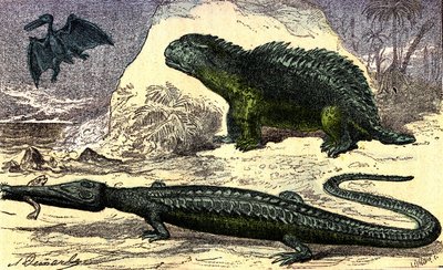 Prehistoria - Período Jurásico: El Teleosaurio y el Hyleosaurio. El Pterodáctilo arriba. Creación natural y seres vivos. Dibujo de A. Demarle. 1885 de Alphonse Demarle