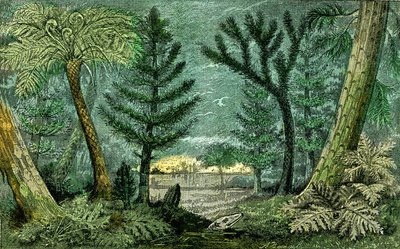 Prehistoria, periodo del carbón: Marecage y perforación del período del carbón (J. Rrengade) de Alphonse Demarle