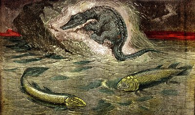 Transición de los peces a los reptiles: Proteosaurio (arriba) reptil de los peces, período de carbón. El Holoptychius abajo a la izquierda, y L