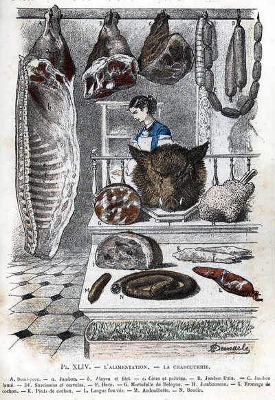 Vista de un embutido A medio cerdo (a jamón b aloyau c lados y pechuga) B jamón fresco C jamón ahumado D salchichas y cerevelas F hure G mortadela de mortadela H jamón I queso de cerdo K pies de cerdo L lengua rellena M andouillette N boudin) (delicatessen de Alphonse Demarle