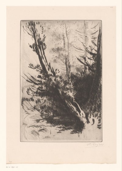 árboles de Alphonse Legros (signed by artist)