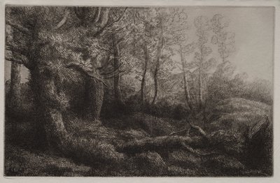 Estudio de un bosque de Alphonse Legros