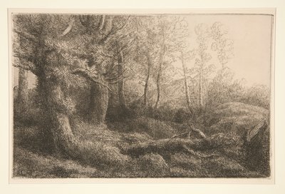 Un estudio de bosques de Alphonse Legros