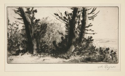 Un campeón de travers (a campo traviesa) de Alphonse Legros