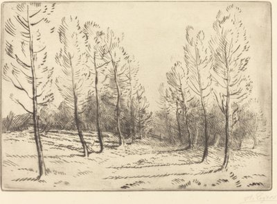 Avenida de álamos de Alphonse Legros