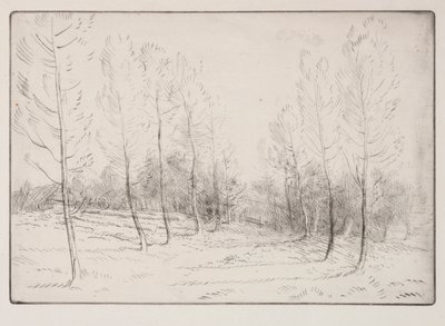 Avenue of Poplars de Alphonse Legros