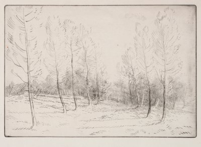 Avenida de álamos de Alphonse Legros